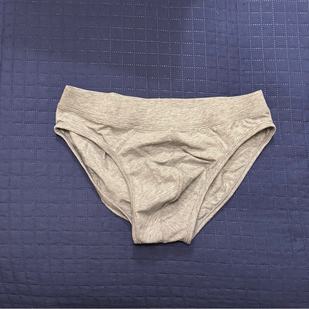 Charlie by MZ. Essentials Collection. Classic Brief. Size M. Gray. New.